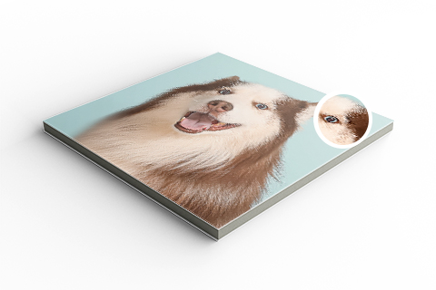 MIXPIX: Deine schönsten Momente als Fotokacheln | FRESSNAPF