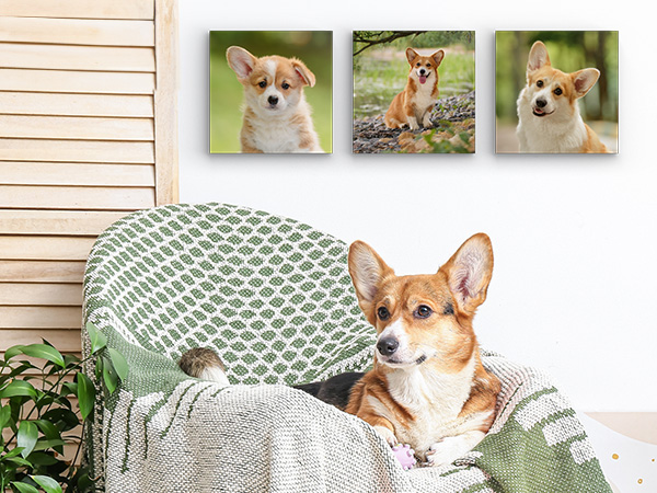 MIXPIX: Deine schönsten Momente als Fotokacheln | FRESSNAPF