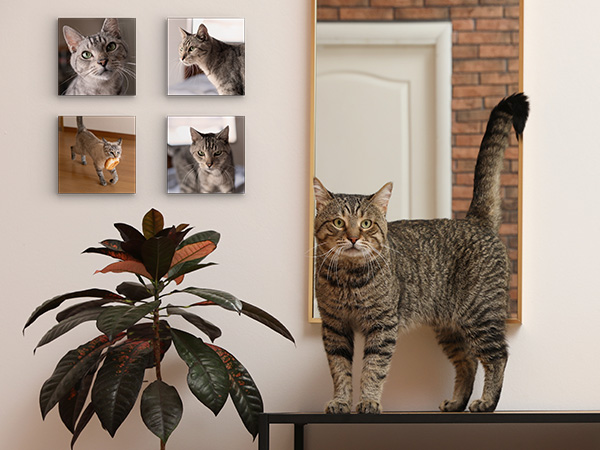 MIXPIX: Deine schönsten Momente als Fotokacheln | FRESSNAPF